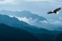 你所有的努力，都有迹可循