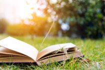 那个走到哪儿都带本书的人到底有多可怕？